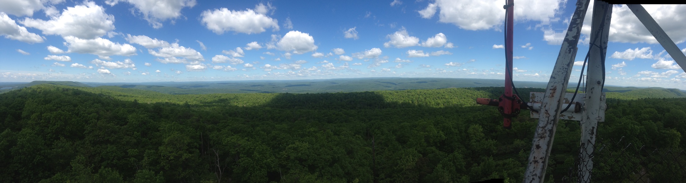 Catfish Fire Tower view