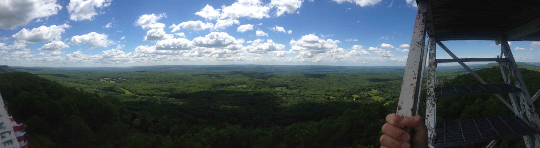 Catfish Fire Tower view