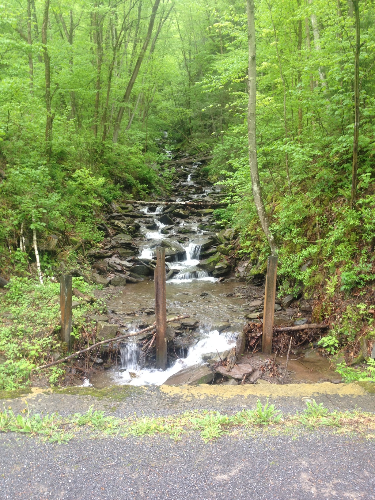 Pinafore Run along the Pine Creek Trail in Pennsylvania