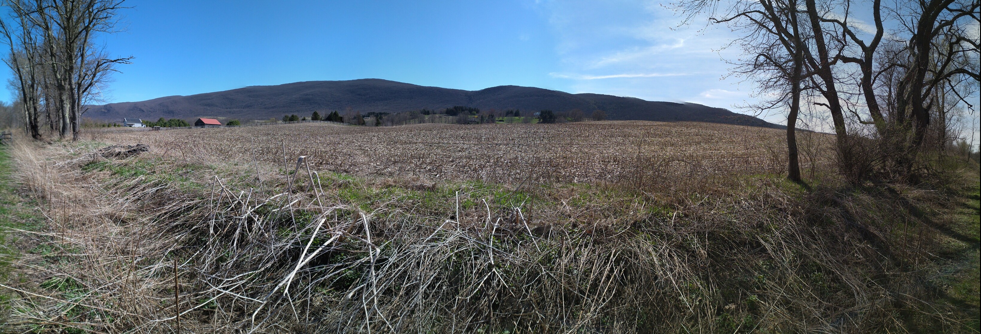 Taconic Mountains