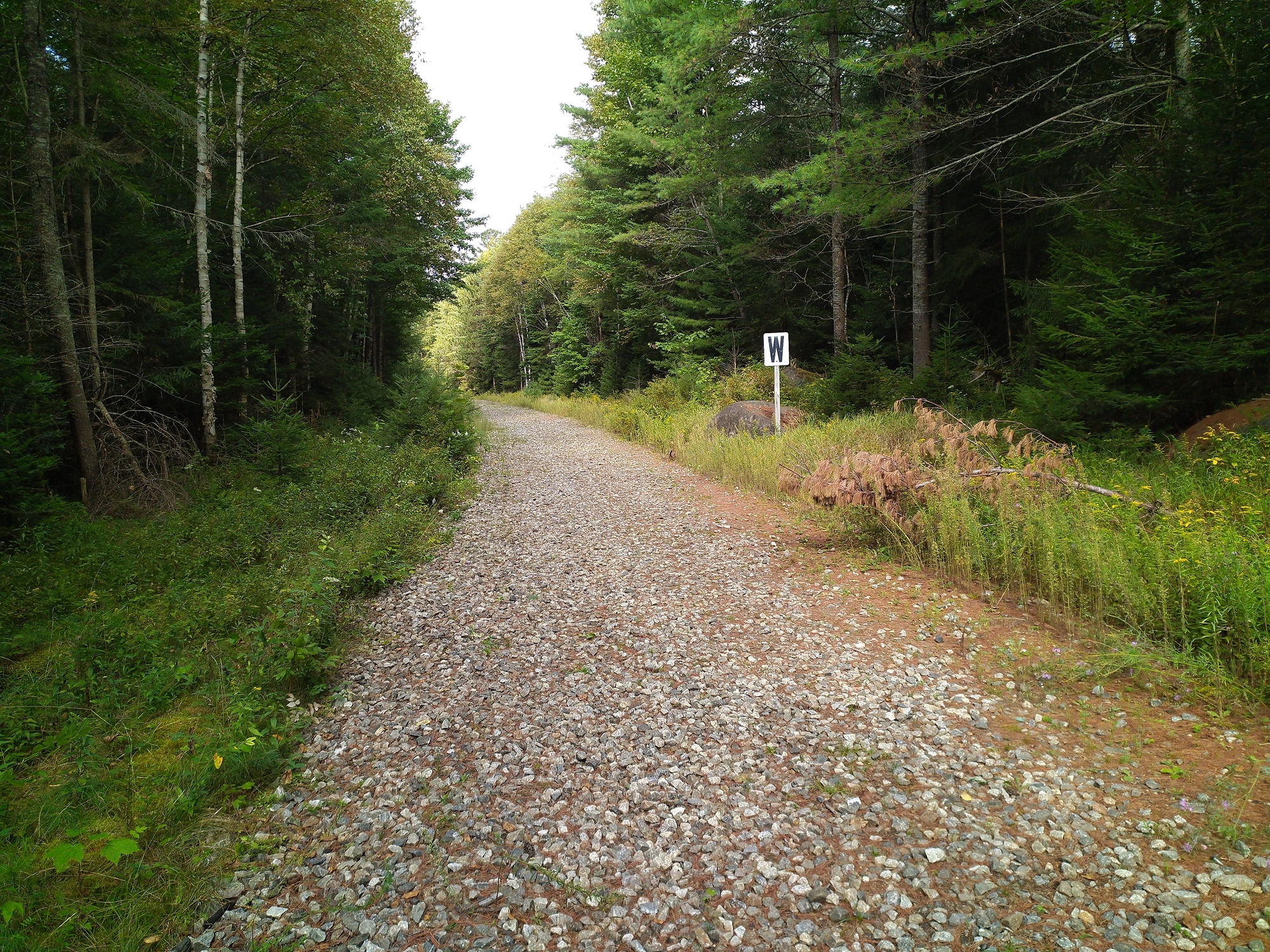 Saranac Lake-Lake Placid railway right-of-way, stripped of rails,on its way to becoming a multi-use trail.