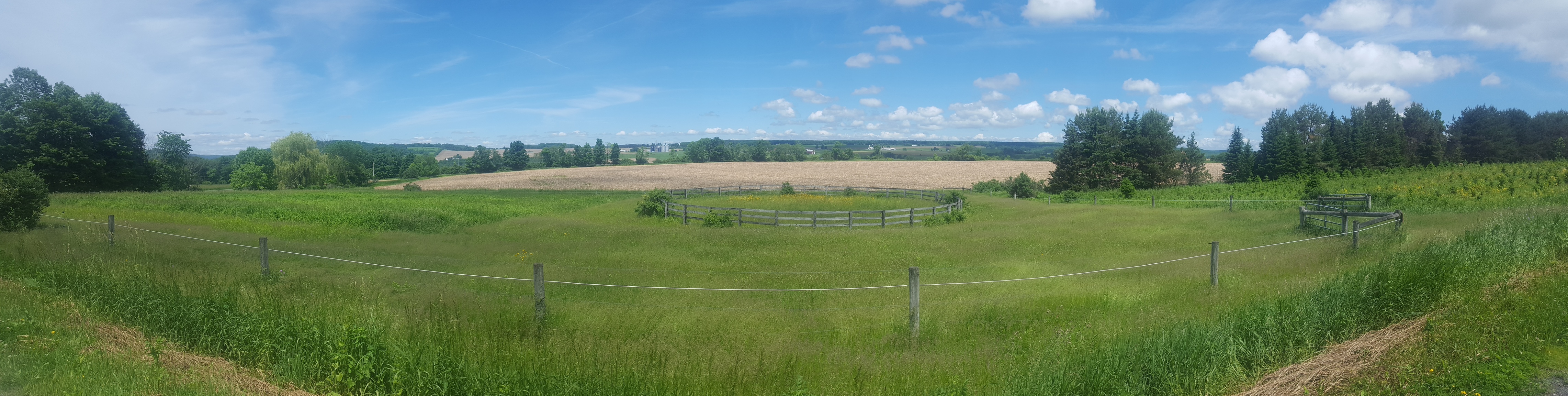 Pastures and fields under a blue sky in East Springfield, NY