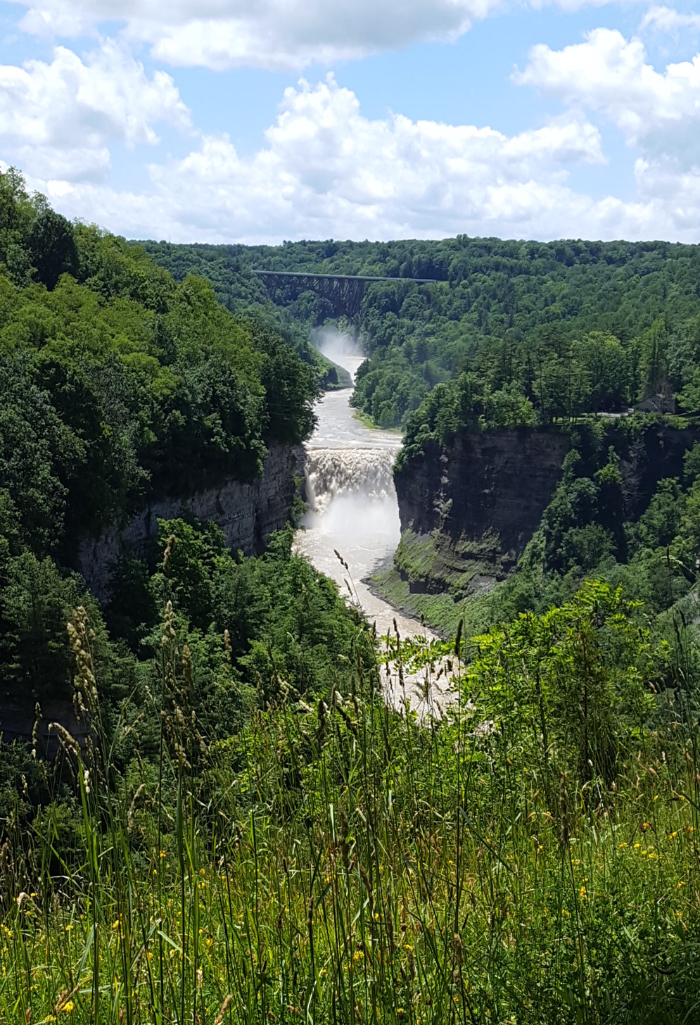 Inspiration Point at Letchworth State Park