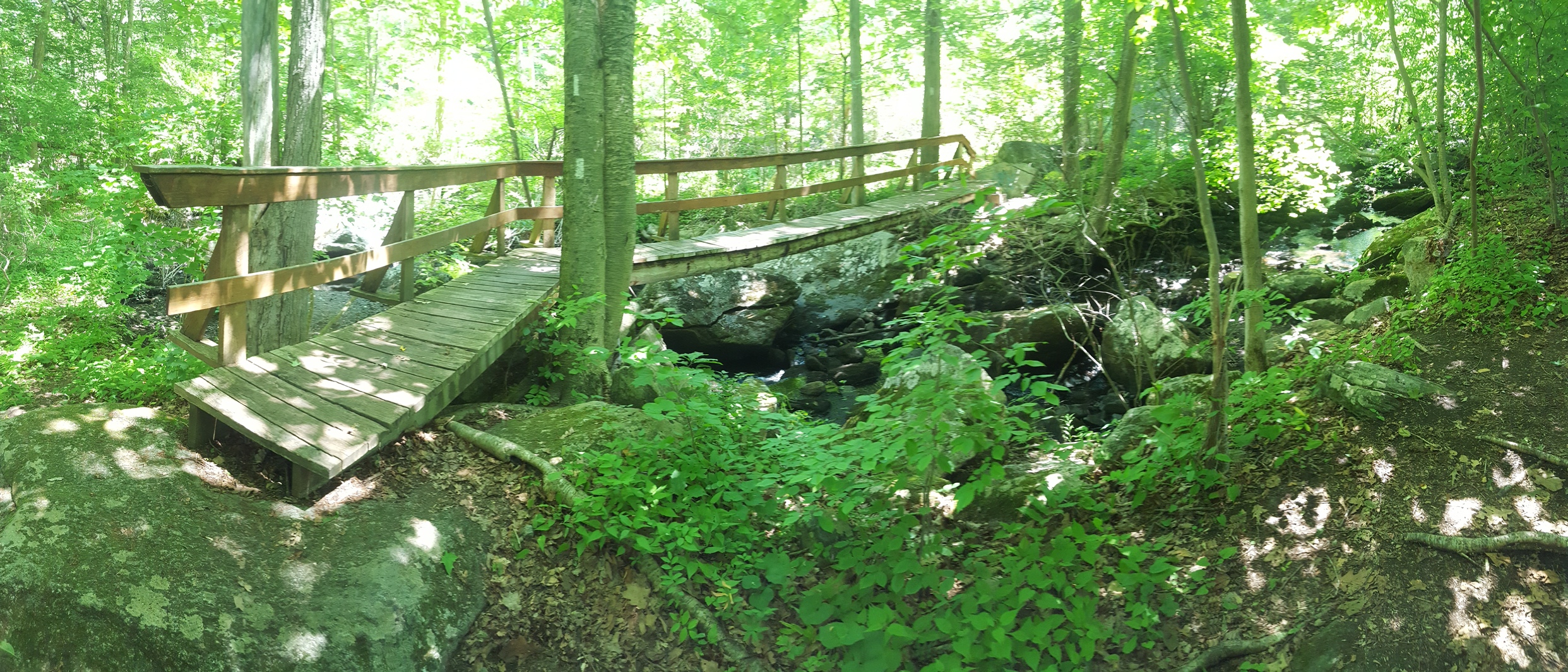 Appalachian Trail bridge over Whaley Lake Stream