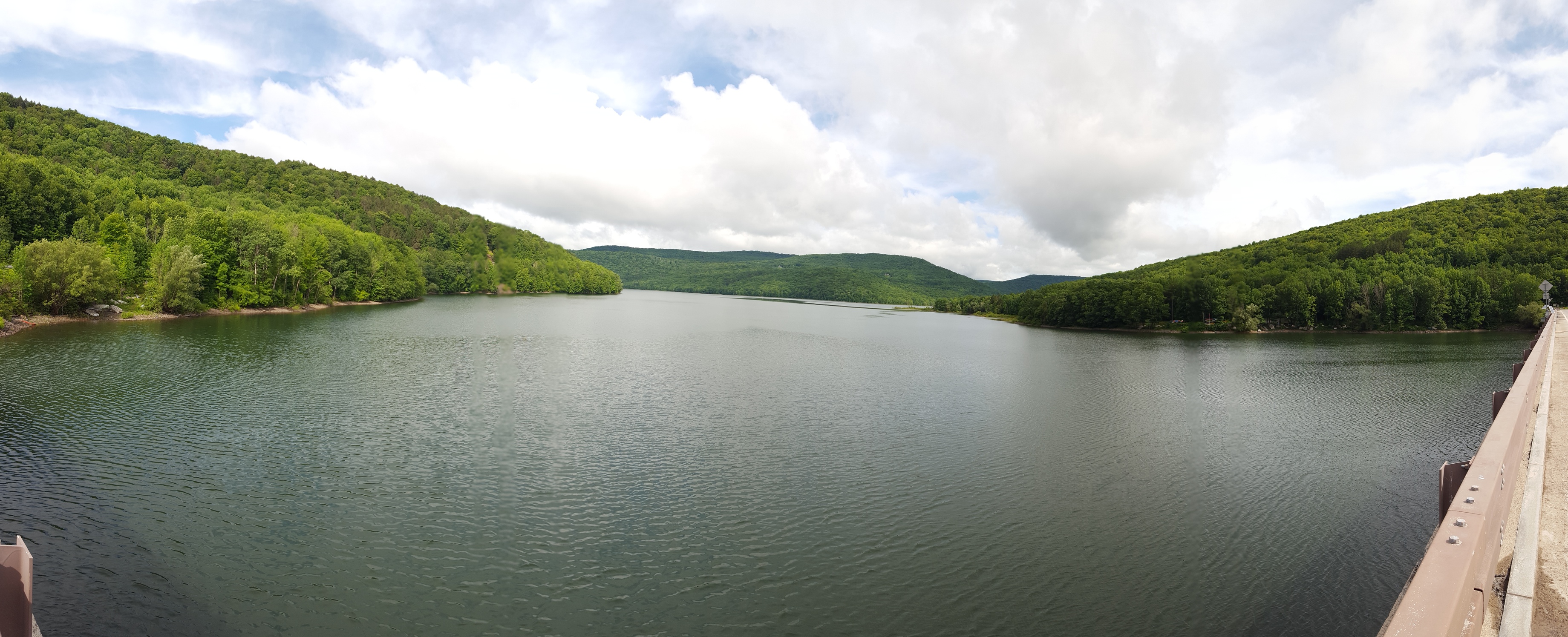 Pepactin Reservoir