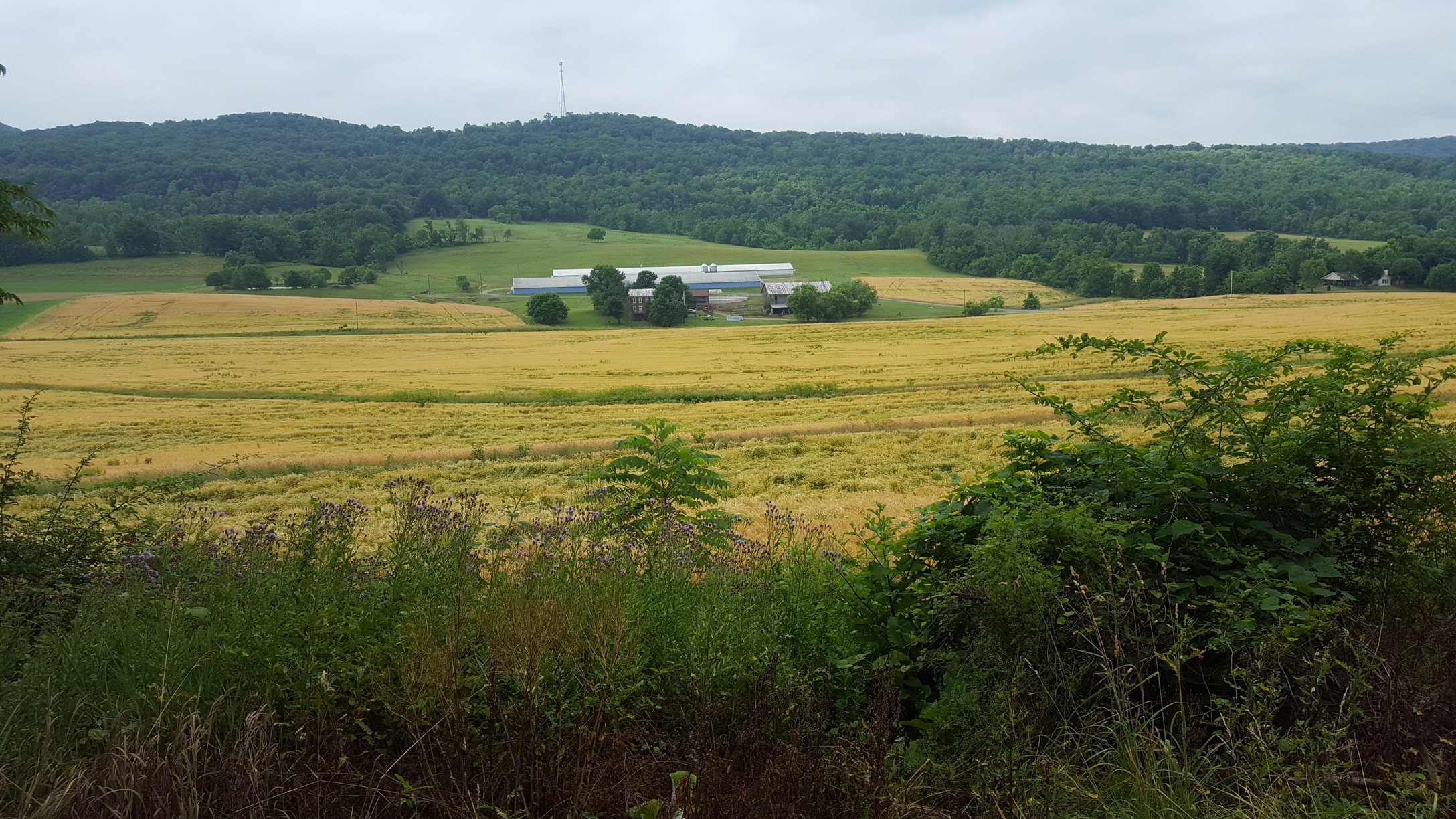 A farm in the Pfoutz Valley, Millerstown, PA